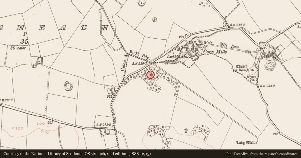 Ordnance Survey six-inch map, 2nd edition (1888–1915) covering the location of Ringfort - rath, Rathcreevagh, County Westmeath, with a pin at the register's coordinates