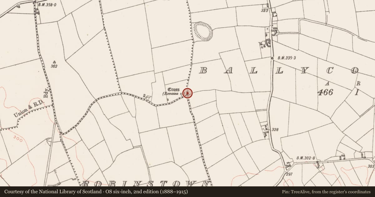 Ordnance Survey six-inch map, 2nd edition (1888–1915) covering the location of Cross - Wayside cross, Robinstown Lower, County Westmeath, with a pin at the register's coordinates