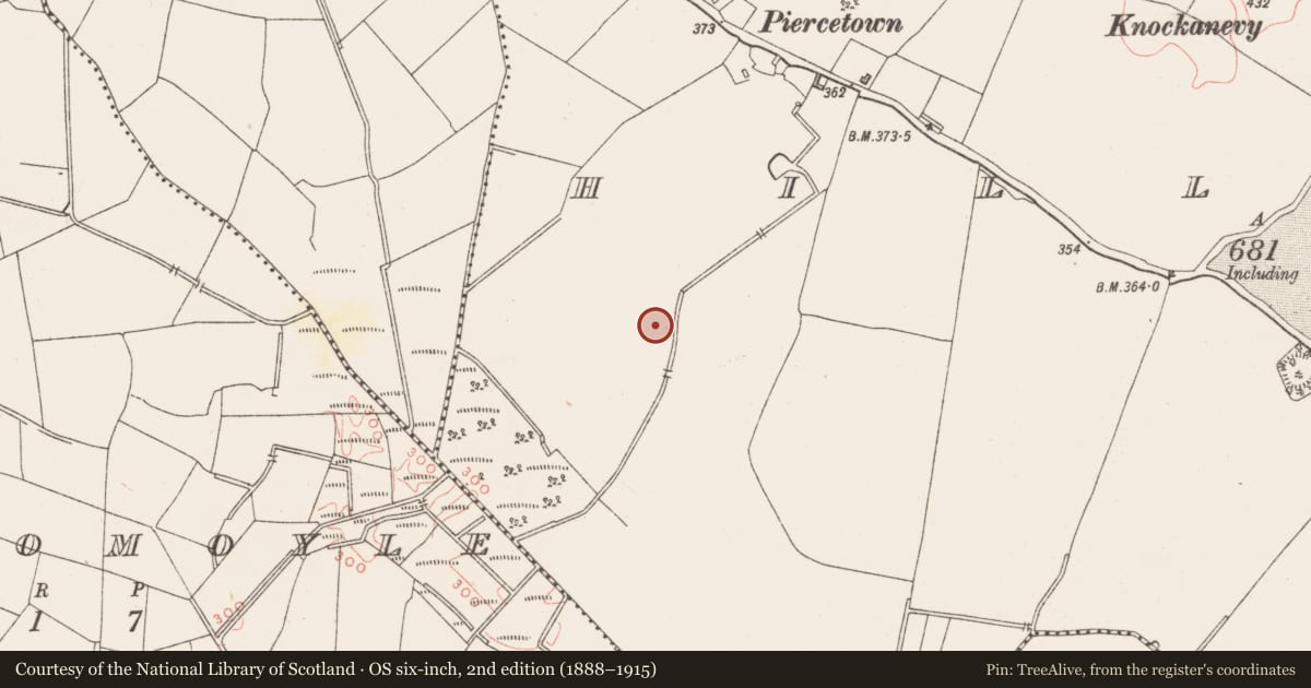 Ordnance Survey six-inch map, 2nd edition (1888–1915) covering the location of Ringfort - unclassified, Hilltown, County Westmeath, with a pin at the register's coordinates