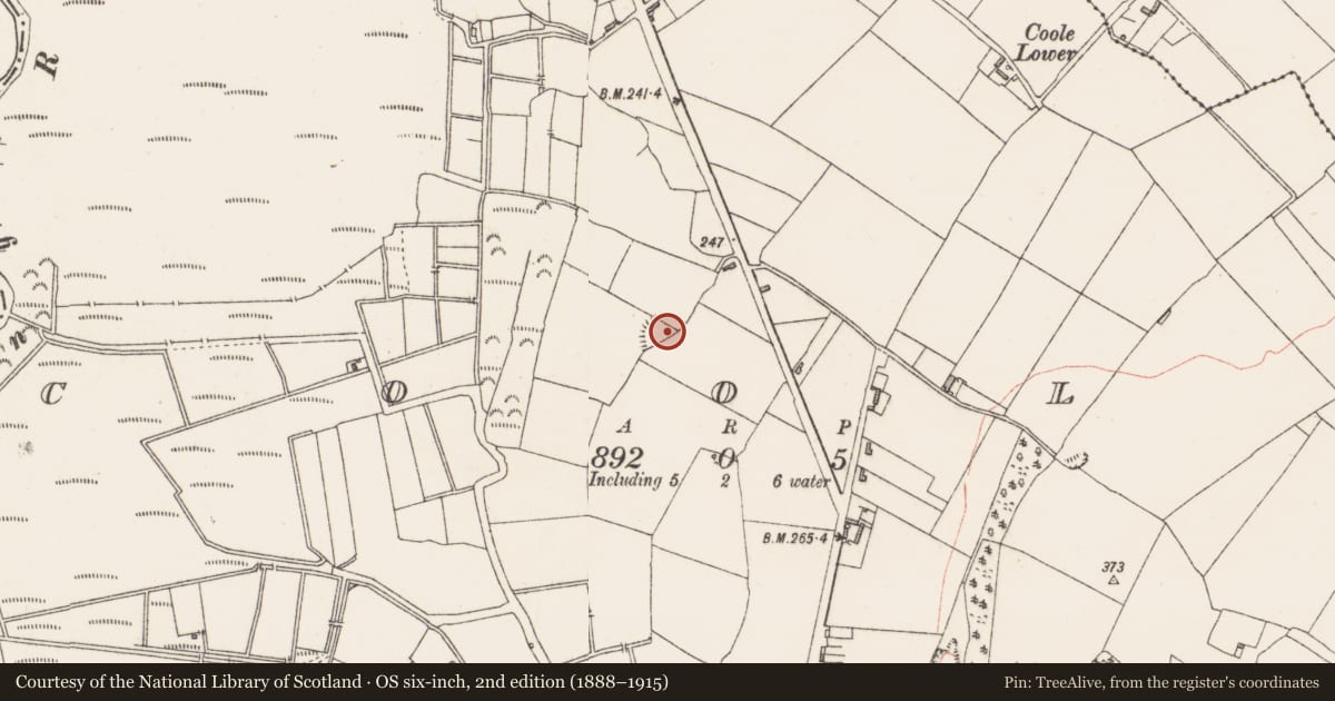 Ordnance Survey six-inch map, 2nd edition (1888–1915) covering the location of Ringfort - rath, Coole, County Westmeath, with a pin at the register's coordinates