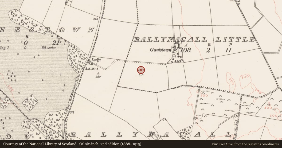 Ordnance Survey six-inch map, 2nd edition (1888–1915) covering the location of House - 17th century, Ballynagall Little, County Westmeath, with a pin at the register's coordinates