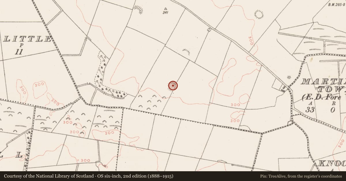 Ordnance Survey six-inch map, 2nd edition (1888–1915) covering the location of Ringfort - rath, Rathcreevagh, County Westmeath, with a pin at the register's coordinates