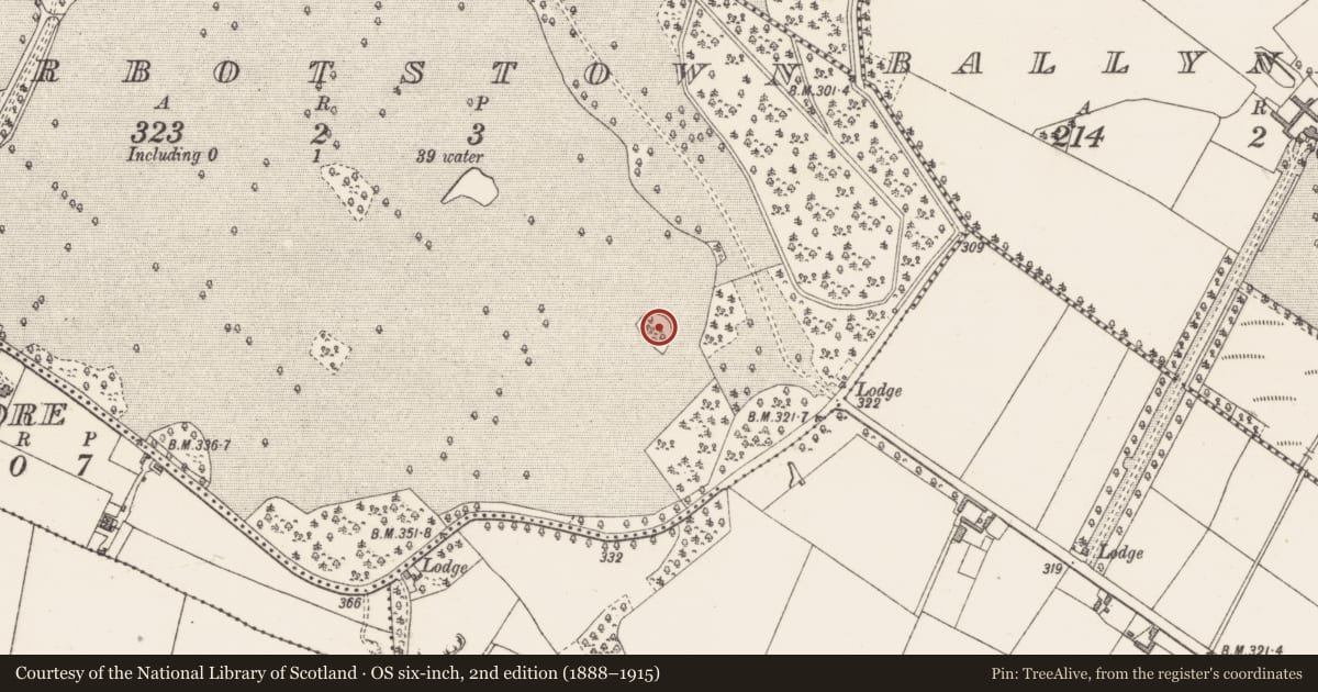 Ordnance Survey six-inch map, 2nd edition (1888–1915) covering the location of Ringfort - rath, Turbotstown, County Westmeath, with a pin at the register's coordinates