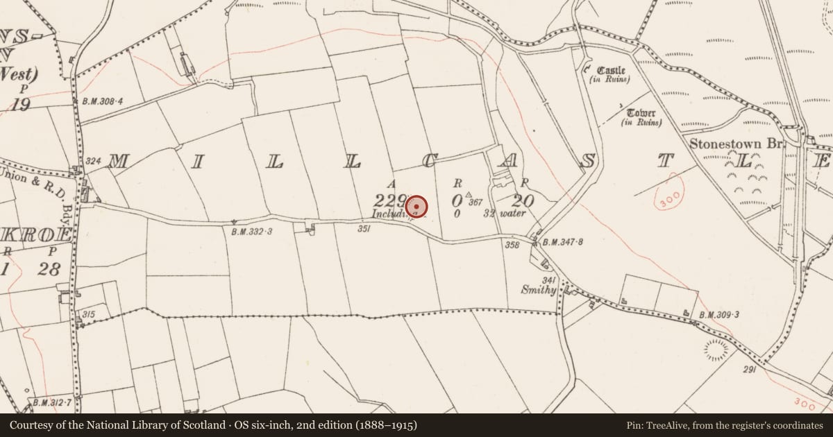 Ordnance Survey six-inch map, 2nd edition (1888–1915) covering the location of Ringfort - rath, Millcastle, County Westmeath, with a pin at the register's coordinates