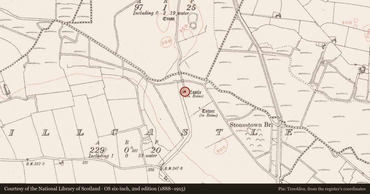 Ordnance Survey six-inch map, 2nd edition (1888–1915) covering the location of Castle - tower house, Millcastle, County Westmeath, with a pin at the register's coordinates