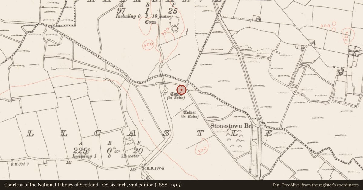 Ordnance Survey six-inch map, 2nd edition (1888–1915) covering the location of Mill - unclassified, Millcastle, County Westmeath, with a pin at the register's coordinates