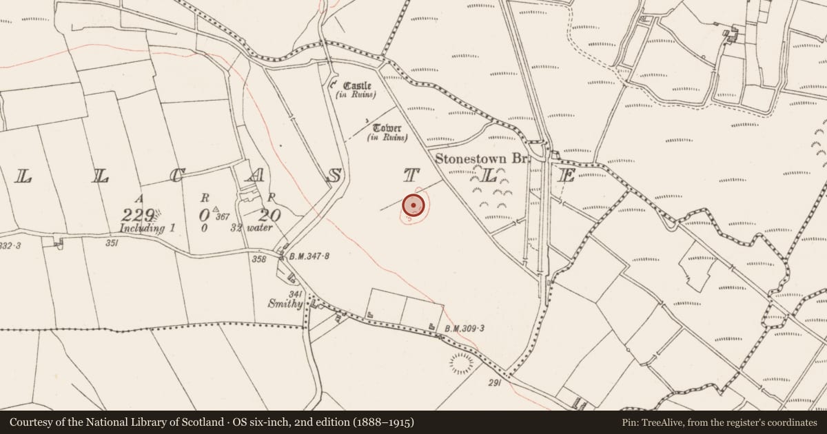 Ordnance Survey six-inch map, 2nd edition (1888–1915) covering the location of Mound, Millcastle, County Westmeath, with a pin at the register's coordinates
