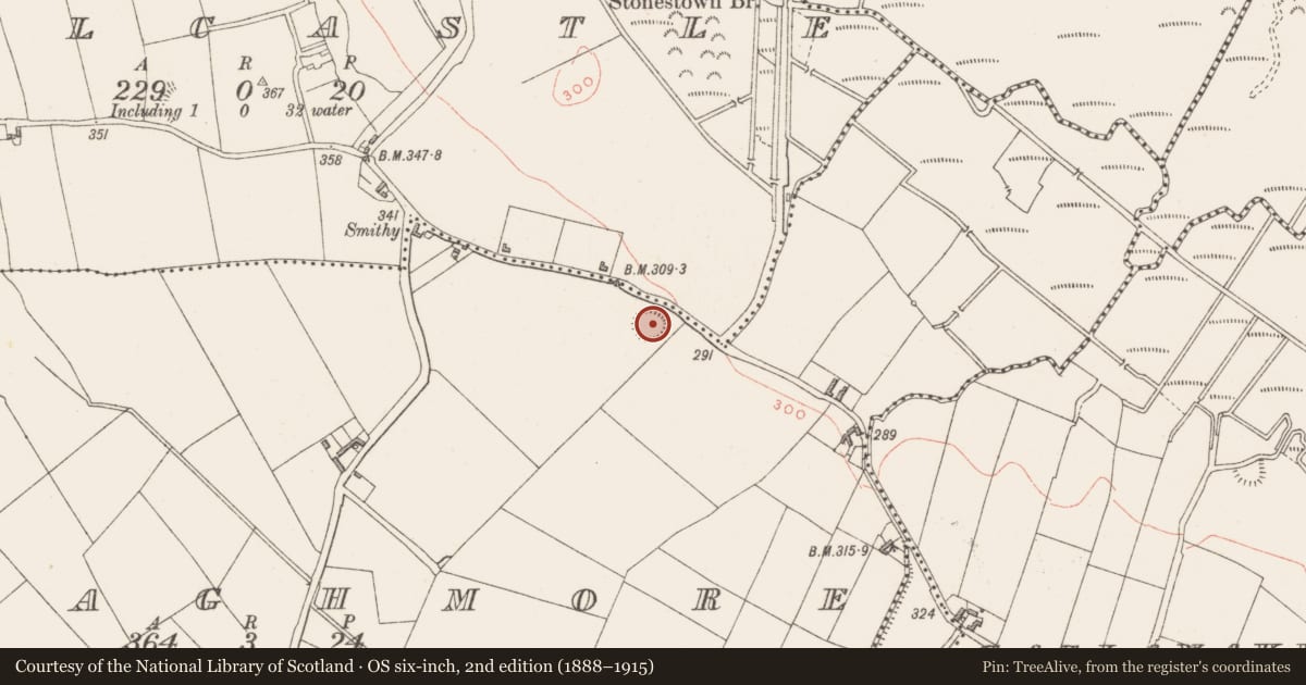 Ordnance Survey six-inch map, 2nd edition (1888–1915) covering the location of Ringfort - rath, Freaghmore, County Westmeath, with a pin at the register's coordinates