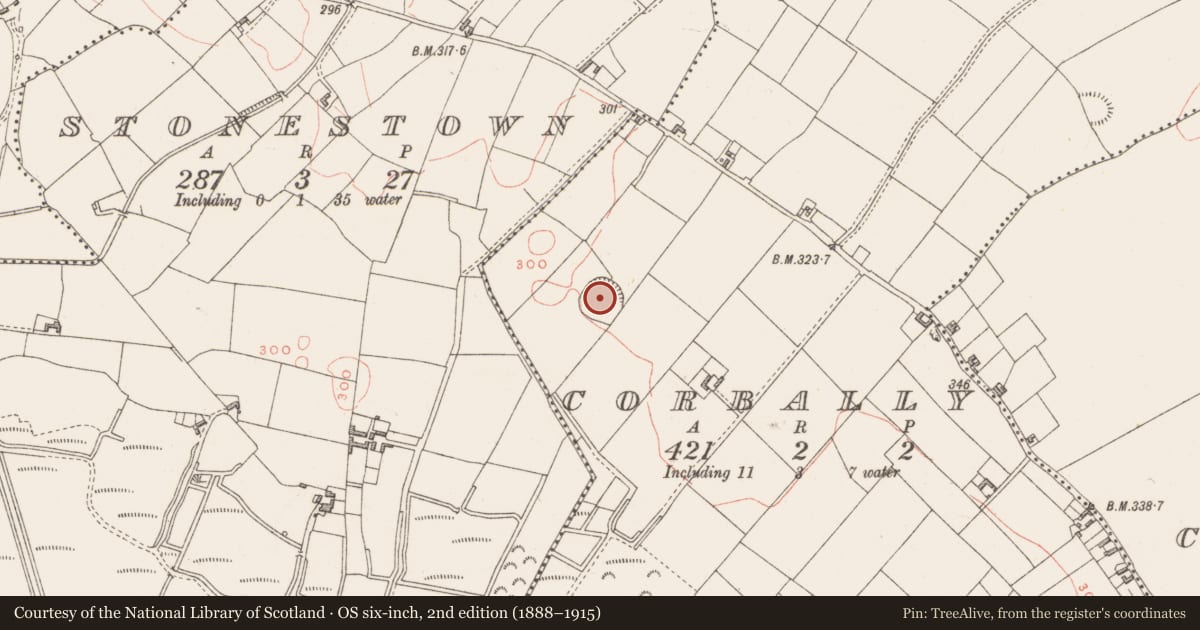 Ordnance Survey six-inch map, 2nd edition (1888–1915) covering the location of Ringfort - rath, Corbally, County Westmeath, with a pin at the register's coordinates