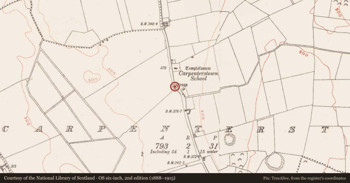 Ordnance Survey six-inch map, 2nd edition (1888–1915) covering the location of Cross - Wayside cross, Carpenterstown, County Westmeath, with a pin at the register's coordinates