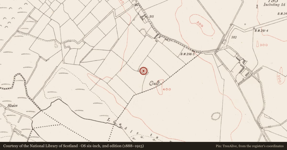 Ordnance Survey six-inch map, 2nd edition (1888–1915) covering the location of Ringfort - rath, Corbally, County Westmeath, with a pin at the register's coordinates