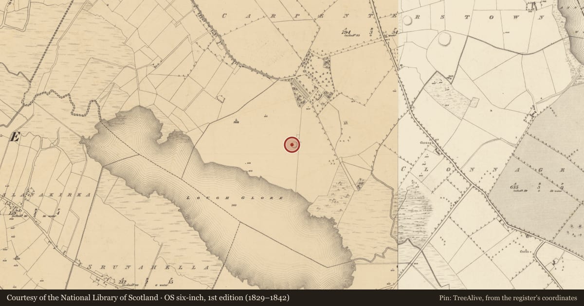Ordnance Survey six-inch map, 1st edition (1829–1842) covering the location of Ringfort - rath, Carpenterstown, County Westmeath, with a pin at the register's coordinates