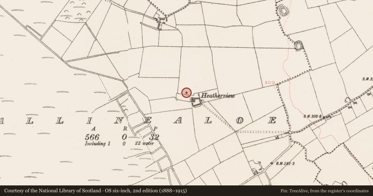 Ordnance Survey six-inch map, 2nd edition (1888–1915) covering the location of Earthwork, Ballinealoe, County Westmeath, with a pin at the register's coordinates