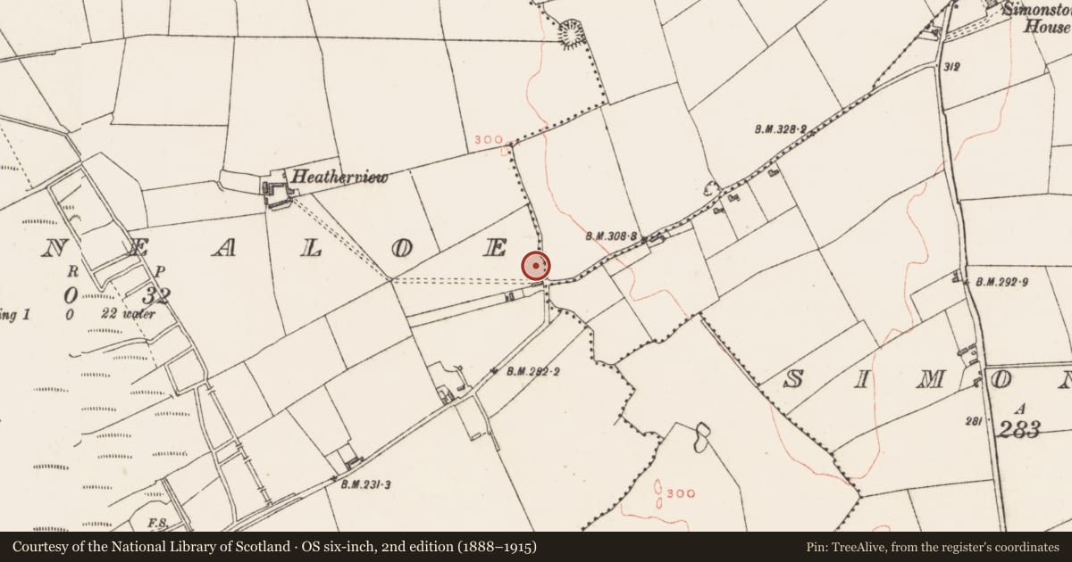 Ordnance Survey six-inch map, 2nd edition (1888–1915) covering the location of Moated site, Ballinealoe, County Westmeath, with a pin at the register's coordinates