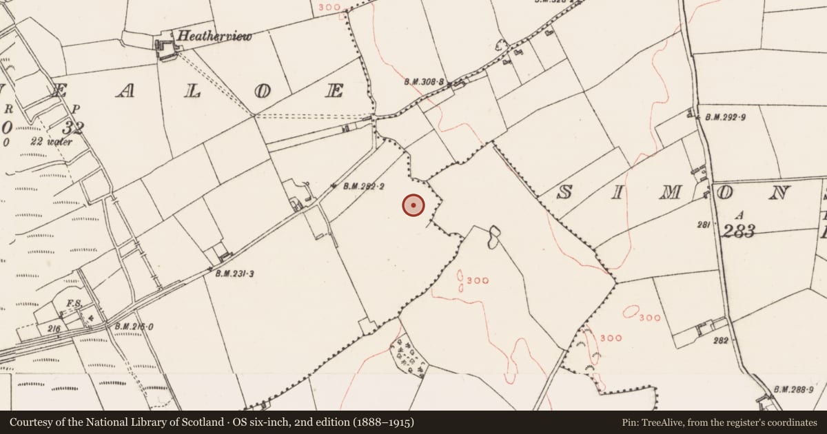 Ordnance Survey six-inch map, 2nd edition (1888–1915) covering the location of Ringfort - rath, Ballinealoe, County Westmeath, with a pin at the register's coordinates