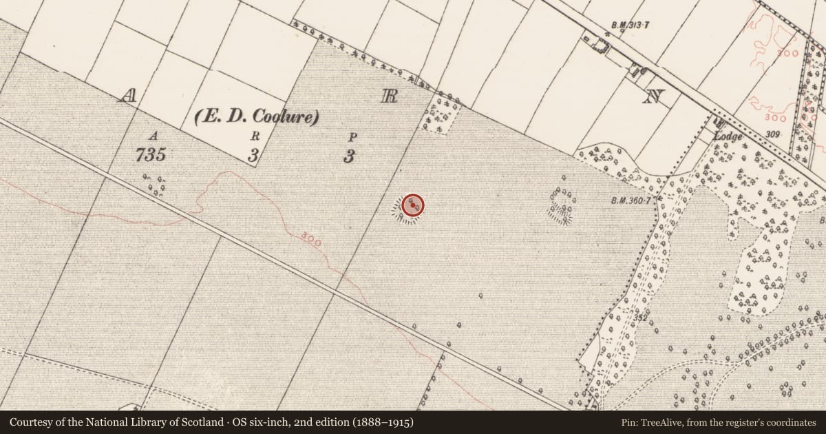 Ordnance Survey six-inch map, 2nd edition (1888–1915) covering the location of Ringfort - rath, Carn, County Westmeath, with a pin at the register's coordinates