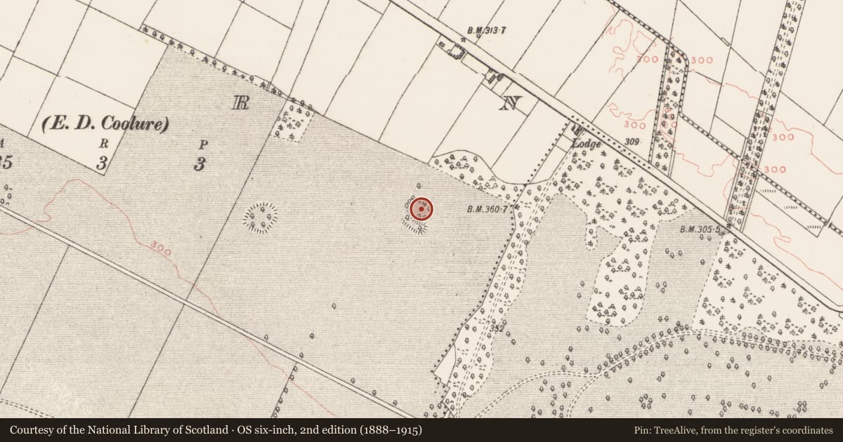 Ordnance Survey six-inch map, 2nd edition (1888–1915) covering the location of Ringfort - rath, Carn, County Westmeath, with a pin at the register's coordinates