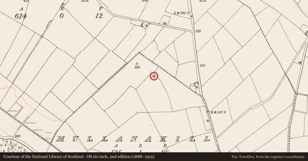 Ordnance Survey six-inch map, 2nd edition (1888–1915) covering the location of Moated site, Mullanakill, County Westmeath, with a pin at the register's coordinates