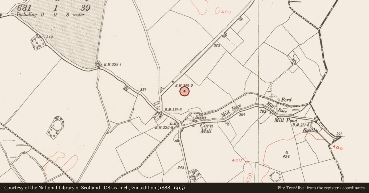 Ordnance Survey six-inch map, 2nd edition (1888–1915) covering the location of Castle - motte, Templanstown, County Westmeath, with a pin at the register's coordinates