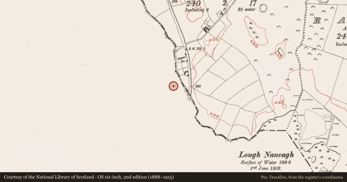Ordnance Survey six-inch map, 2nd edition (1888–1915) covering the location of Castle - motte and bailey, Tonashammer, County Westmeath, with a pin at the register's coordinates
