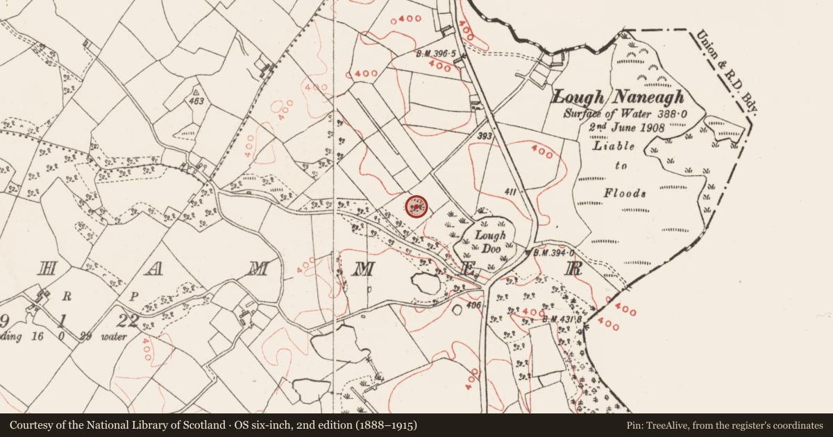 Ordnance Survey six-inch map, 2nd edition (1888–1915) covering the location of Ringfort - rath, Tonashammer, County Westmeath, with a pin at the register's coordinates