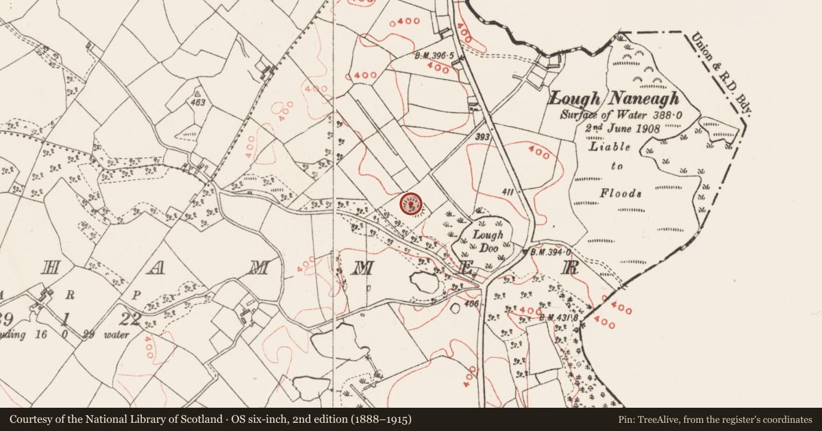 Ordnance Survey six-inch map, 2nd edition (1888–1915) covering the location of Hut site, Tonashammer, County Westmeath, with a pin at the register's coordinates