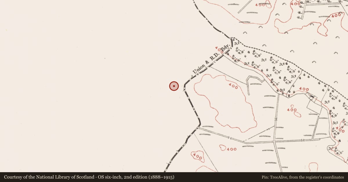 Ordnance Survey six-inch map, 2nd edition (1888–1915) covering the location of Ringfort - rath, Tonashammer, County Westmeath, with a pin at the register's coordinates