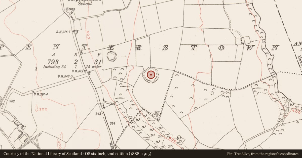 Ordnance Survey six-inch map, 2nd edition (1888–1915) covering the location of Hilltop enclosure, Carpenterstown, County Westmeath, with a pin at the register's coordinates