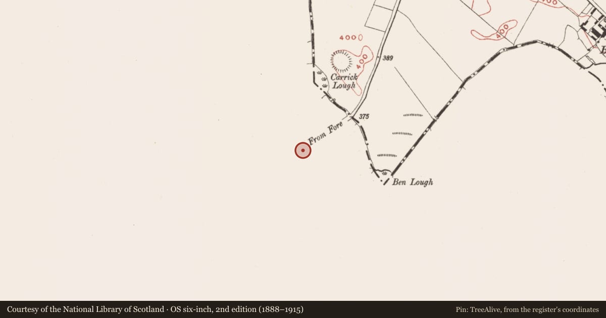 Ordnance Survey six-inch map, 2nd edition (1888–1915) covering the location of Cross - Wayside cross, Ben, Clonnageeragh, County Westmeath, with a pin at the register's coordinates