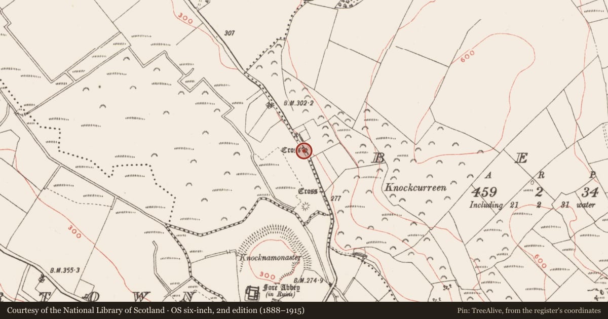 Ordnance Survey six-inch map, 2nd edition (1888–1915) covering the location of Cross - Wayside cross, Ben, Clonnageeragh, County Westmeath, with a pin at the register's coordinates