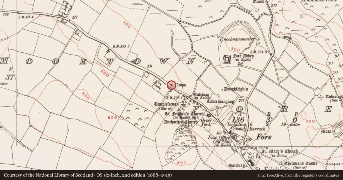 Ordnance Survey six-inch map, 2nd edition (1888–1915) covering the location of Cross - Wayside cross, Lakill And Moortown, County Westmeath, with a pin at the register's coordinates