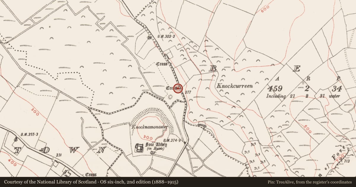 Ordnance Survey six-inch map, 2nd edition (1888–1915) covering the location of Cross - Wayside cross, Clonnageeragh, County Westmeath, with a pin at the register's coordinates