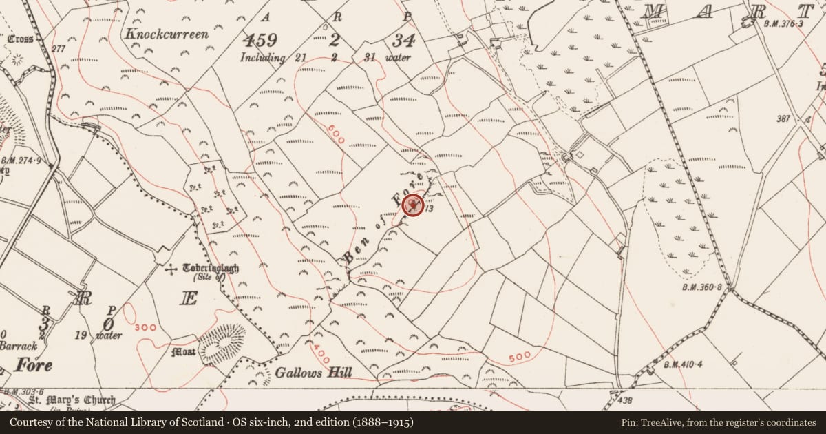 Ordnance Survey six-inch map, 2nd edition (1888–1915) covering the location of Earthwork, Ben, County Westmeath, with a pin at the register's coordinates