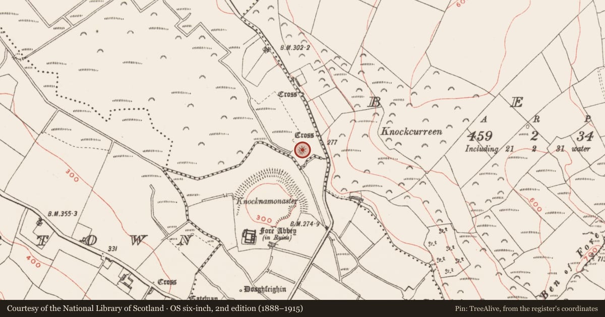 Ordnance Survey six-inch map, 2nd edition (1888–1915) covering the location of Castle - motte and bailey, Clonnageeragh, County Westmeath, with a pin at the register's coordinates