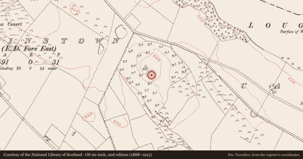 Ordnance Survey six-inch map, 2nd edition (1888–1915) covering the location of Hut site, Balnavine, County Westmeath, with a pin at the register's coordinates