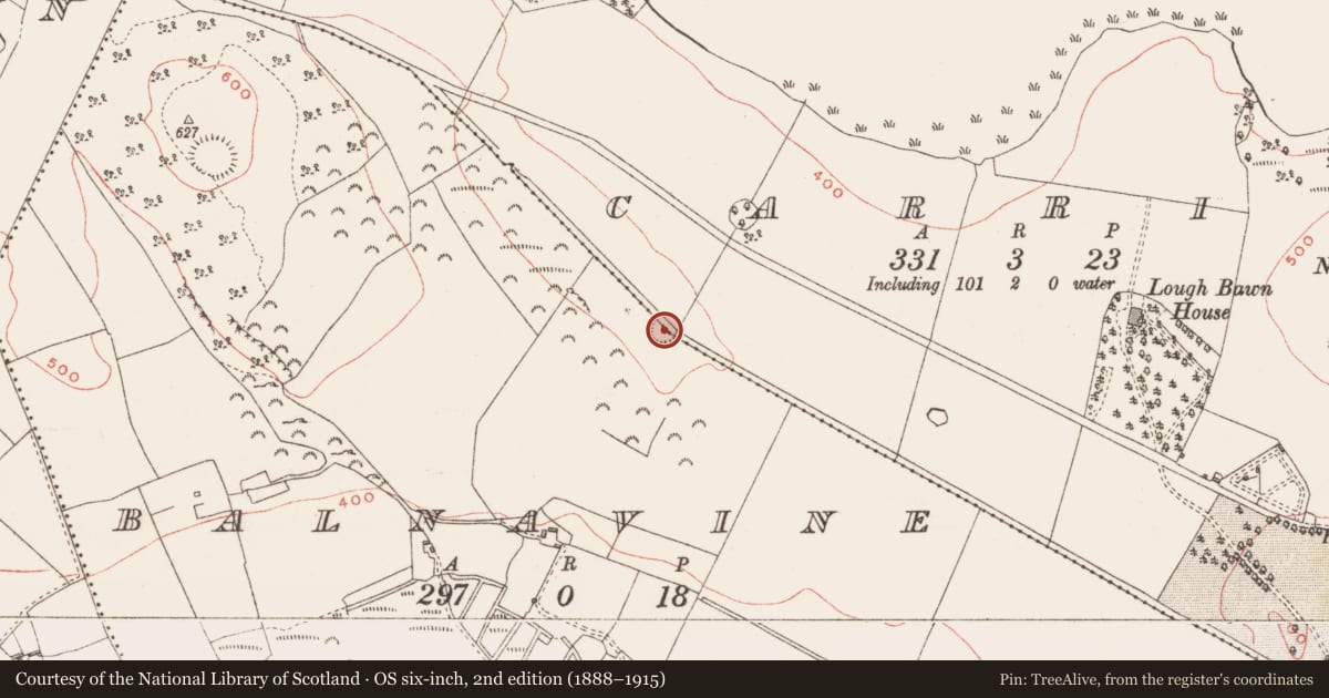 Ordnance Survey six-inch map, 2nd edition (1888–1915) covering the location of Ringfort - rath, Carrick, Balnavine, County Westmeath, with a pin at the register's coordinates