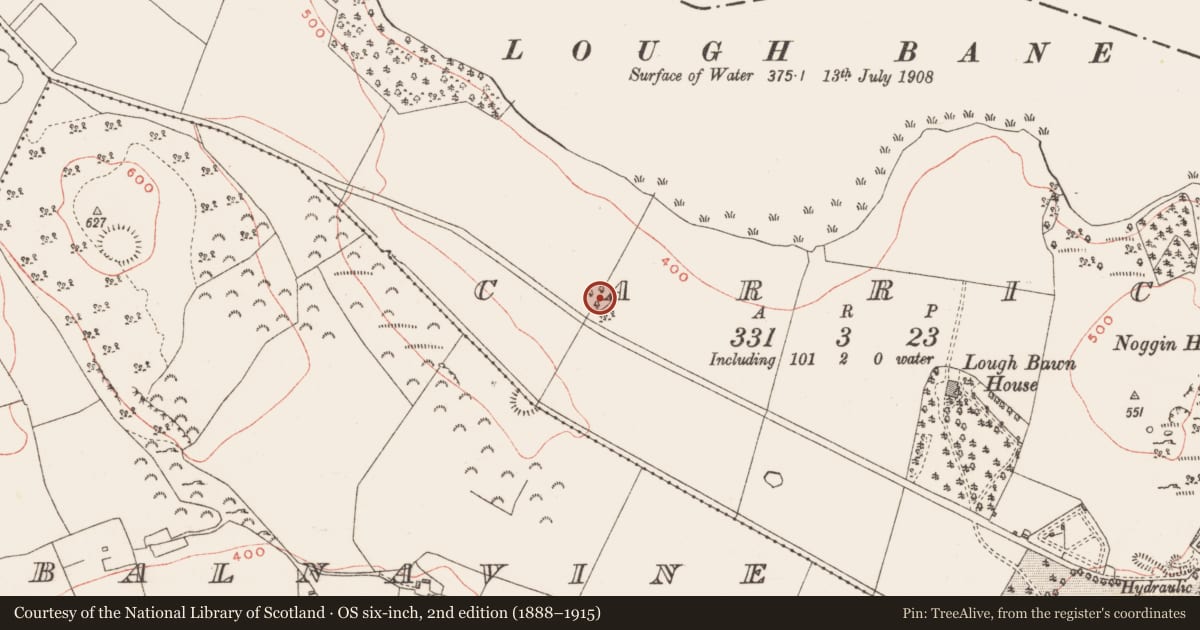 Ordnance Survey six-inch map, 2nd edition (1888–1915) covering the location of Ringfort - rath, Carrick, County Westmeath, with a pin at the register's coordinates