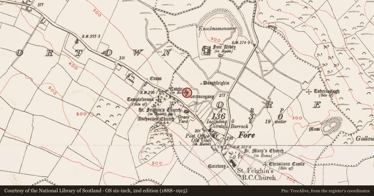 Ordnance Survey six-inch map, 2nd edition (1888–1915) covering the location of Ritual site - holy well, Fore, County Westmeath, with a pin at the register's coordinates