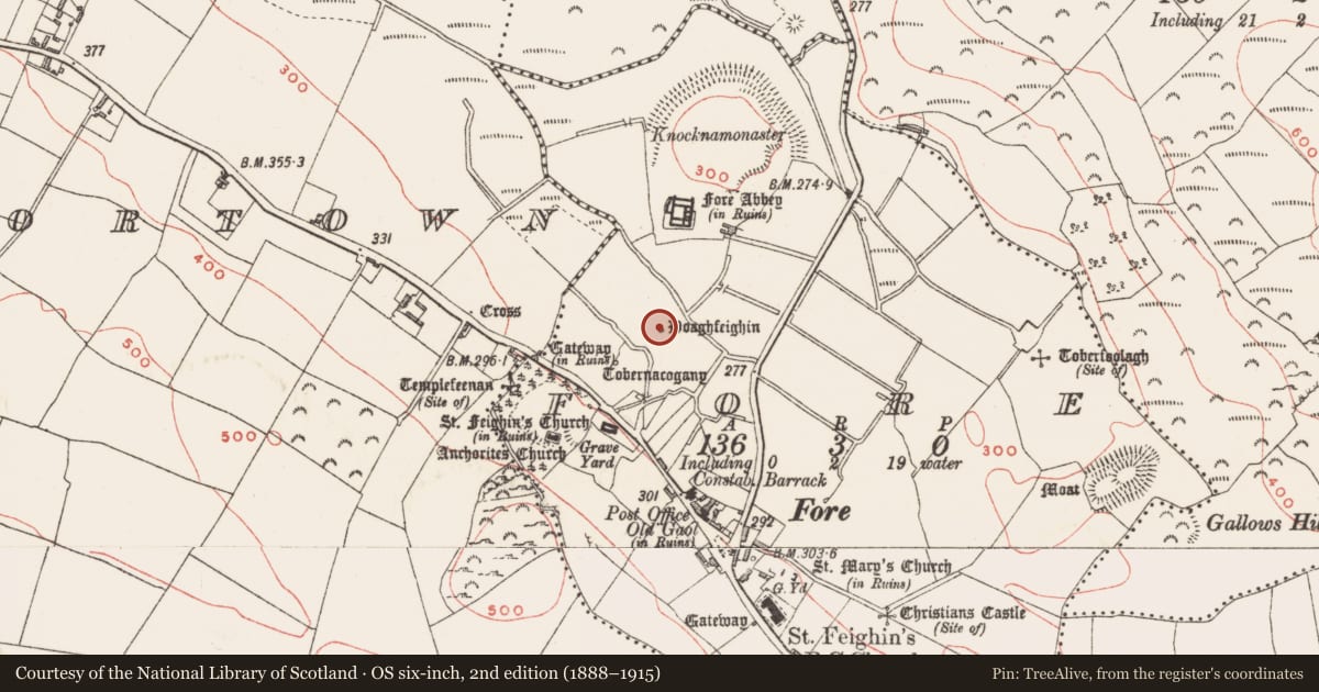 Ordnance Survey six-inch map, 2nd edition (1888–1915) covering the location of Ritual site - holy well, Fore, County Westmeath, with a pin at the register's coordinates
