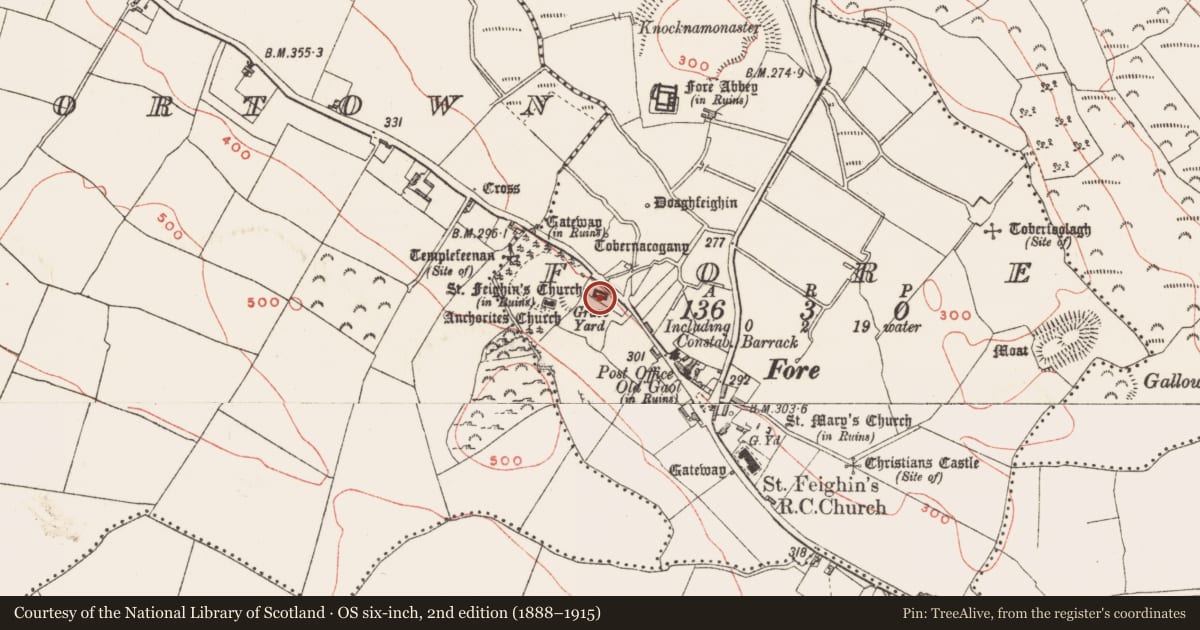 Ordnance Survey six-inch map, 2nd edition (1888–1915) covering the location of Cross-slab, Fore, County Westmeath, with a pin at the register's coordinates