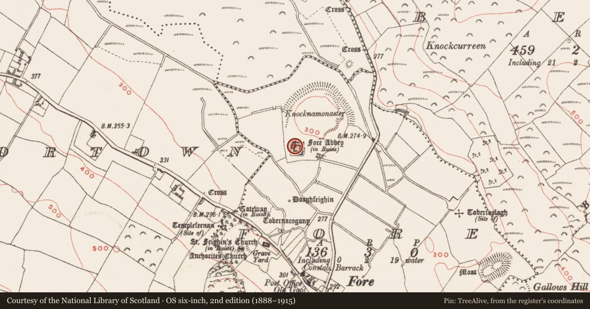 Ordnance Survey six-inch map, 2nd edition (1888–1915) covering the location of Graveslab, Fore, County Westmeath, with a pin at the register's coordinates