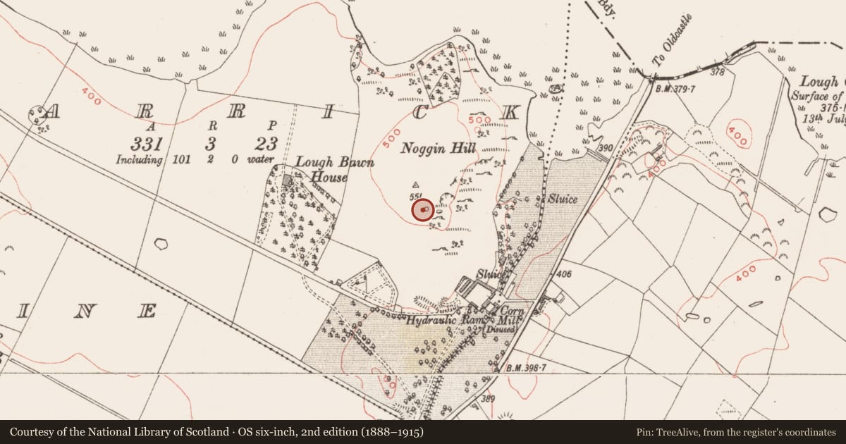 Ordnance Survey six-inch map, 2nd edition (1888–1915) covering the location of Designed landscape feature, Carrick, County Westmeath, with a pin at the register's coordinates