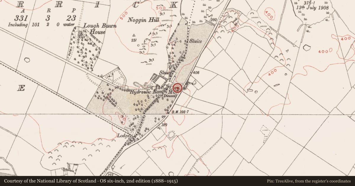Ordnance Survey six-inch map, 2nd edition (1888–1915) covering the location of Burial ground, Glenidan, County Westmeath, with a pin at the register's coordinates