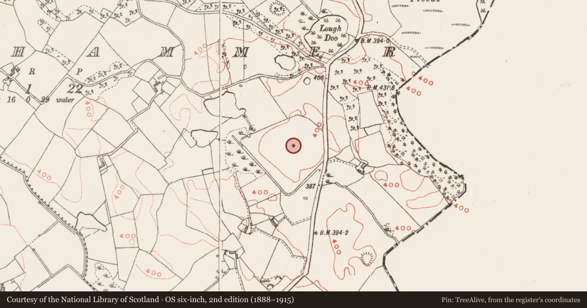 Ordnance Survey six-inch map, 2nd edition (1888–1915) covering the location of Enclosure, Tonashammer, County Westmeath, with a pin at the register's coordinates