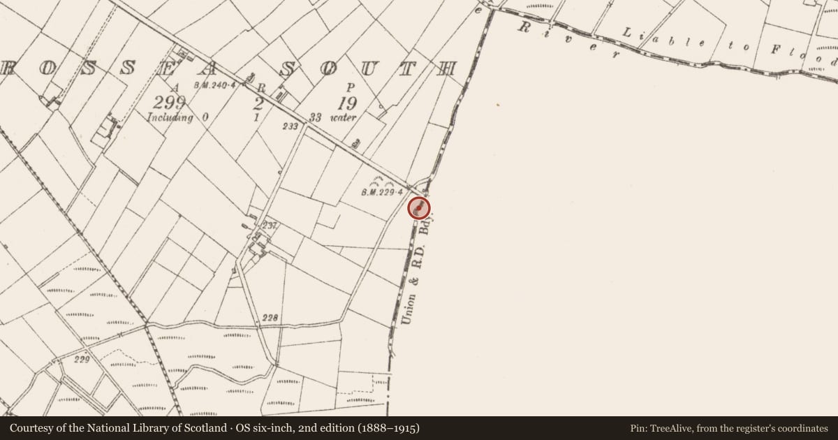 Ordnance Survey six-inch map, 2nd edition (1888–1915) covering the location of Castle - motte, Killinagh, County Westmeath, with a pin at the register's coordinates