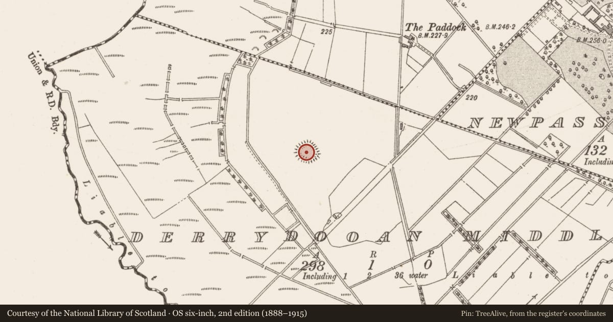 Ordnance Survey six-inch map, 2nd edition (1888–1915) covering the location of Ringfort - rath, Derrydooan, County Westmeath, with a pin at the register's coordinates
