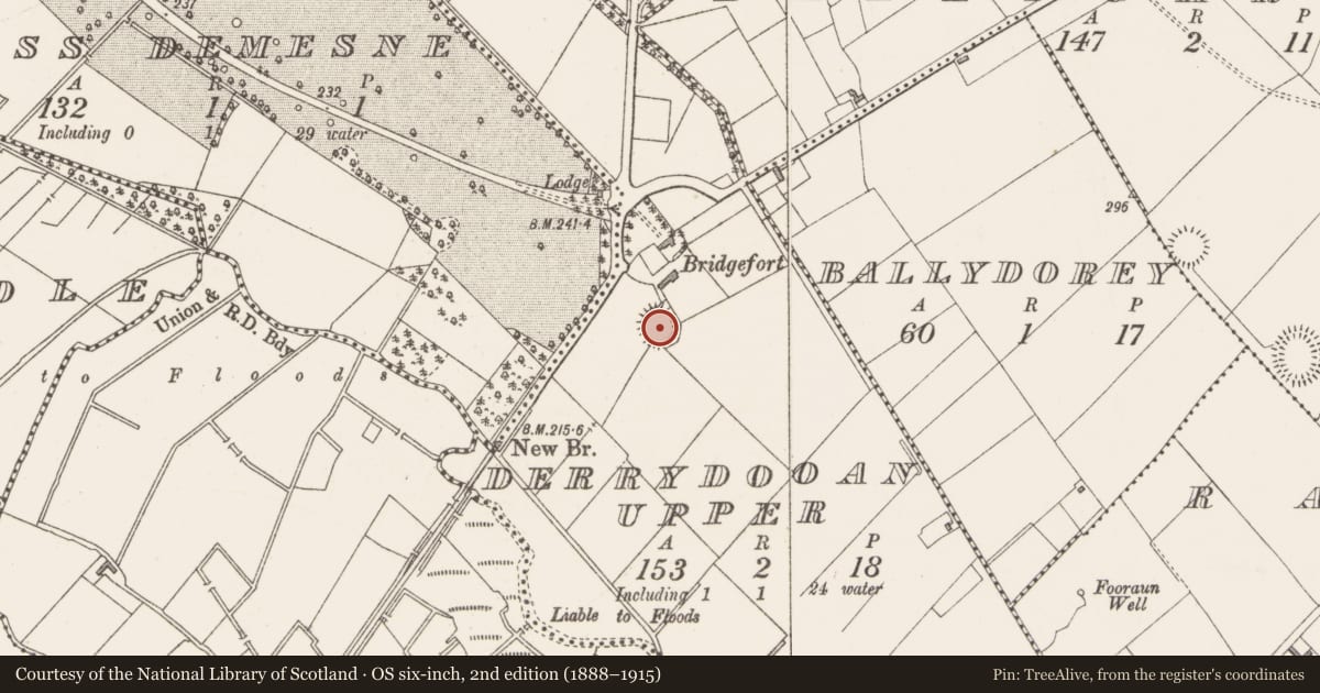 Ordnance Survey six-inch map, 2nd edition (1888–1915) covering the location of Ringfort - rath, Derrydooan Upper, County Westmeath, with a pin at the register's coordinates