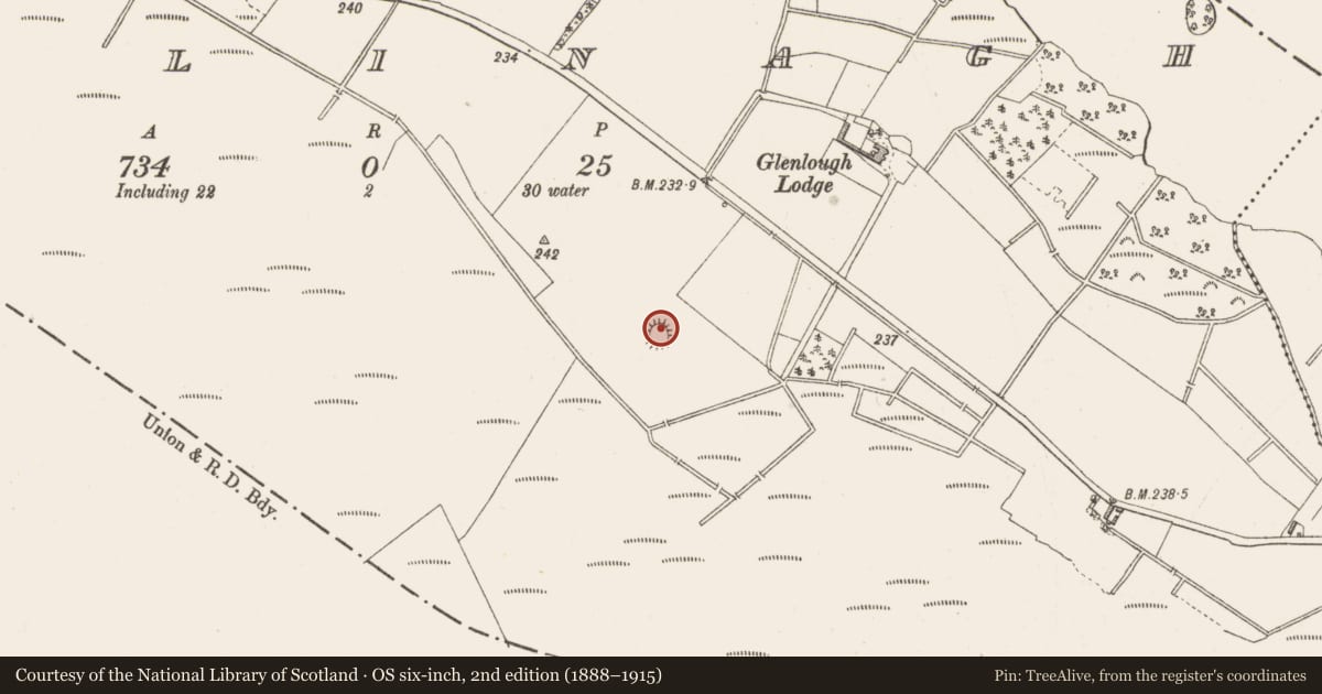Ordnance Survey six-inch map, 2nd edition (1888–1915) covering the location of Ringfort - rath, Killinagh, County Westmeath, with a pin at the register's coordinates