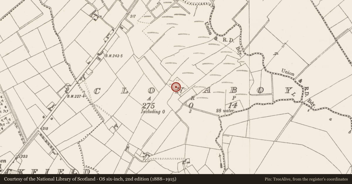 Ordnance Survey six-inch map, 2nd edition (1888–1915) covering the location of Ringfort - rath, Clonaboy, County Westmeath, with a pin at the register's coordinates