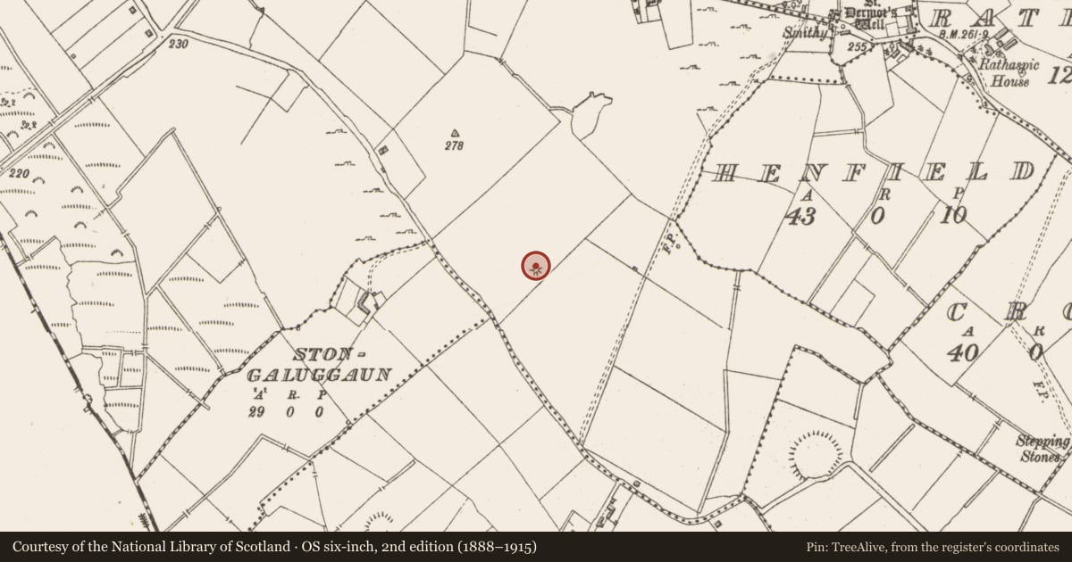 Ordnance Survey six-inch map, 2nd edition (1888–1915) covering the location of Barrow - bowl-barrow, Ballygarvey Beg, County Westmeath, with a pin at the register's coordinates